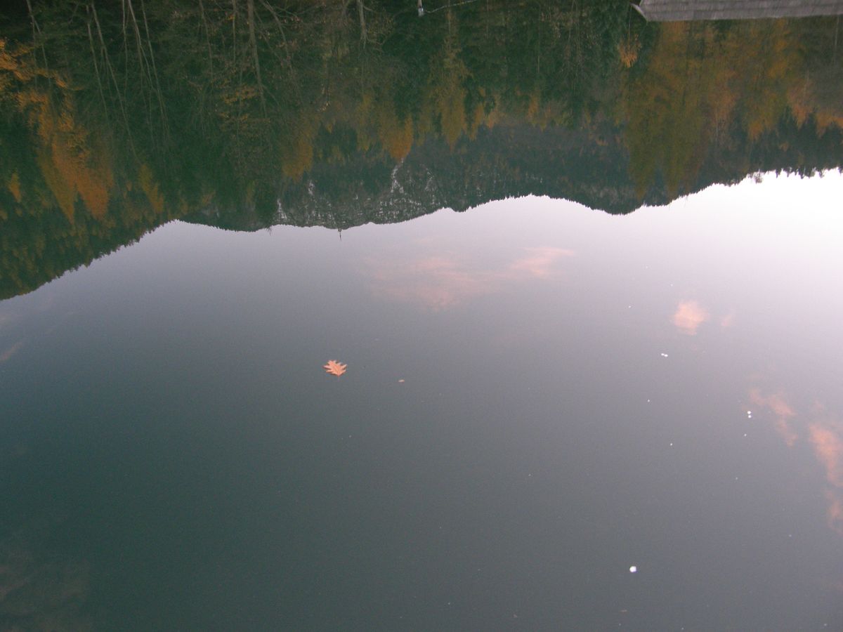 Pociva jezero v tihoti_Boris Rogina